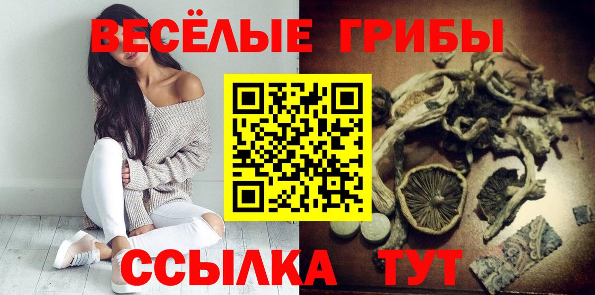 Нерюнгри  Галлюциногенные грибы мицелий  Вход с VPN 